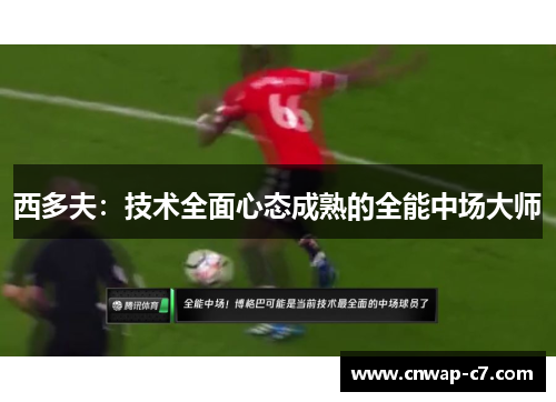 西多夫:技术全面心态成熟的全能中场大师 西多夫:技术全面心态成熟的全能中场大师